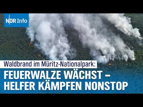 Video Thumbnail: Waldbrand im Müritz‑Nationalpark: Altmunition und Wind verschärfen die Lage | NDR Info