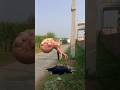 Labbaik Ya Rasool Allah Shortvideo Vfxshorts Islamicvideo Trending Viralvideo Subscribe Me