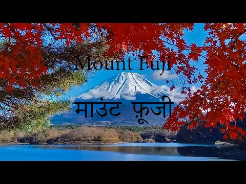 Philips Hue: たった 3 つのトリックで照明を大幅に活用できます