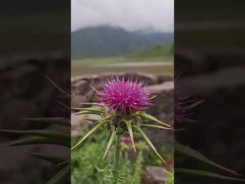 Lagunas de Yala, Jujuy. Increíble.