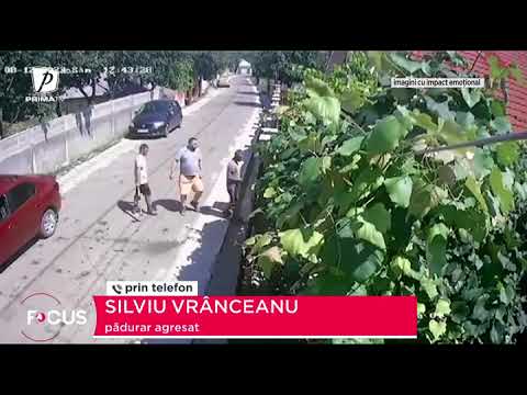 Pădurar amenințat de braconierii de trufe