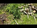 ECHO SRM 225 Trimmer Demo