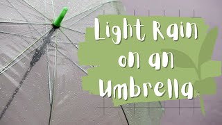 Light Rain on an Umbrella - Rain Sounds for Sleeping - Umbrella in the Rain.