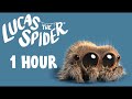 Lucas The Spider 1 Hour