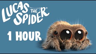 Download lagu Lucas the Spider  1 Hour mp3 Download lagu Lucas the Spider  1 Hour mp3