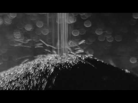 Imminence - Continuum