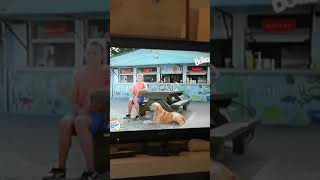 Download lagu Air Bud vince ancora un piccolo pezzo del film mp3