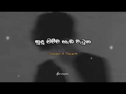 සුදු පිච්ච හැඩ වැටුන | Sudu Pichcha Hada Watuna | Slowed and Reverb | #ASIMUSIC