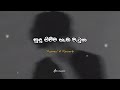 සුදු පිච්ච හැඩ වැටුන Sudu Pichcha Hada Watuna Slowed And Reverb AS