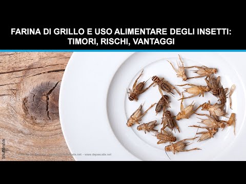 , title : 'Un grillo nel piatto: cosa sapere sull'uso alimentare degli insetti!'