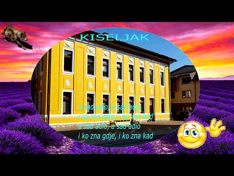 SLAVKO BESIC CUPA-A SAD ADIO (TEKST+KISELJAK)