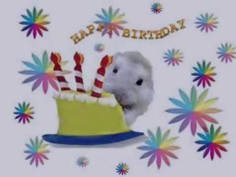 Birthday baby song avijit