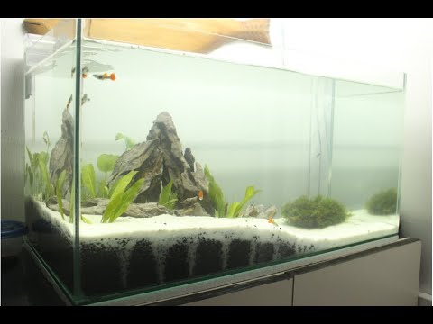 My first 15 gallon tank set up. BUDGET! SIMPLE!