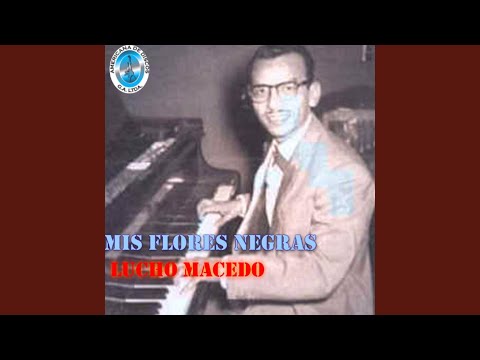 El Colectivo De Las Siete