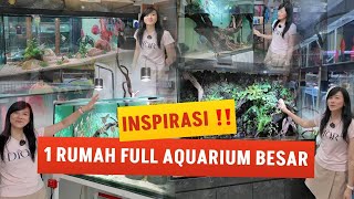 FISH ADDICT PEREMPUAN SATU RUMAH BESAR FULL DENGAN AQUARIUM BESAR DAN RIBUAN IKAN GUYS