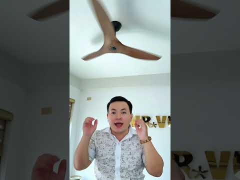 Đánh giá mẫu quạt Venus
