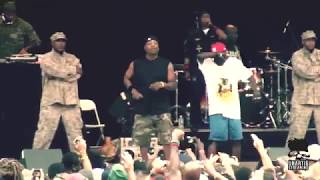 Public Enemy live at Central Park on August 15, 2010