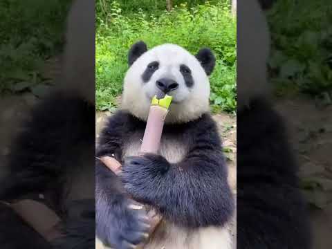 ....Don't drink another drop of water until you read this