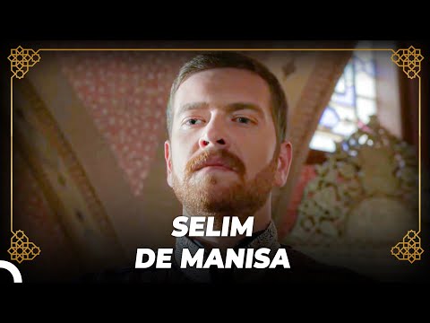 Suleyman Estaba Detrás De Selim | Historia Otomana