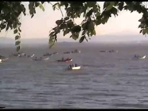 Palio delle Barche 2005 - Video Ufficiale