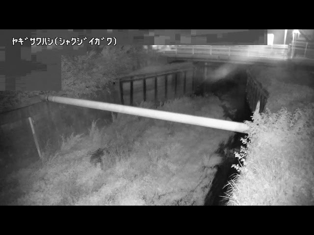 柳沢橋映像監視局