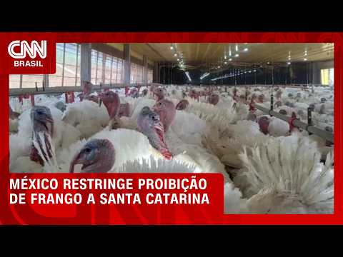 México regionaliza embargo e libera aves de todos os estados, exceto SC | CNN AGORA