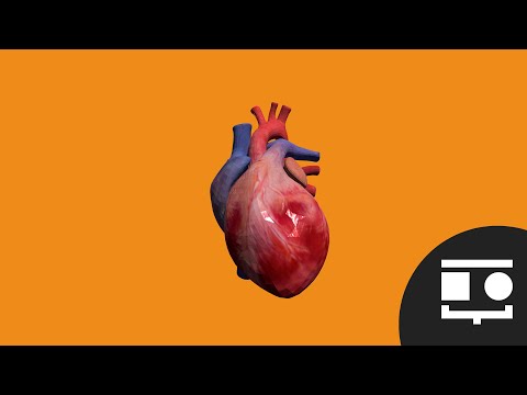 Uteacha Biology 3D video thumbnail