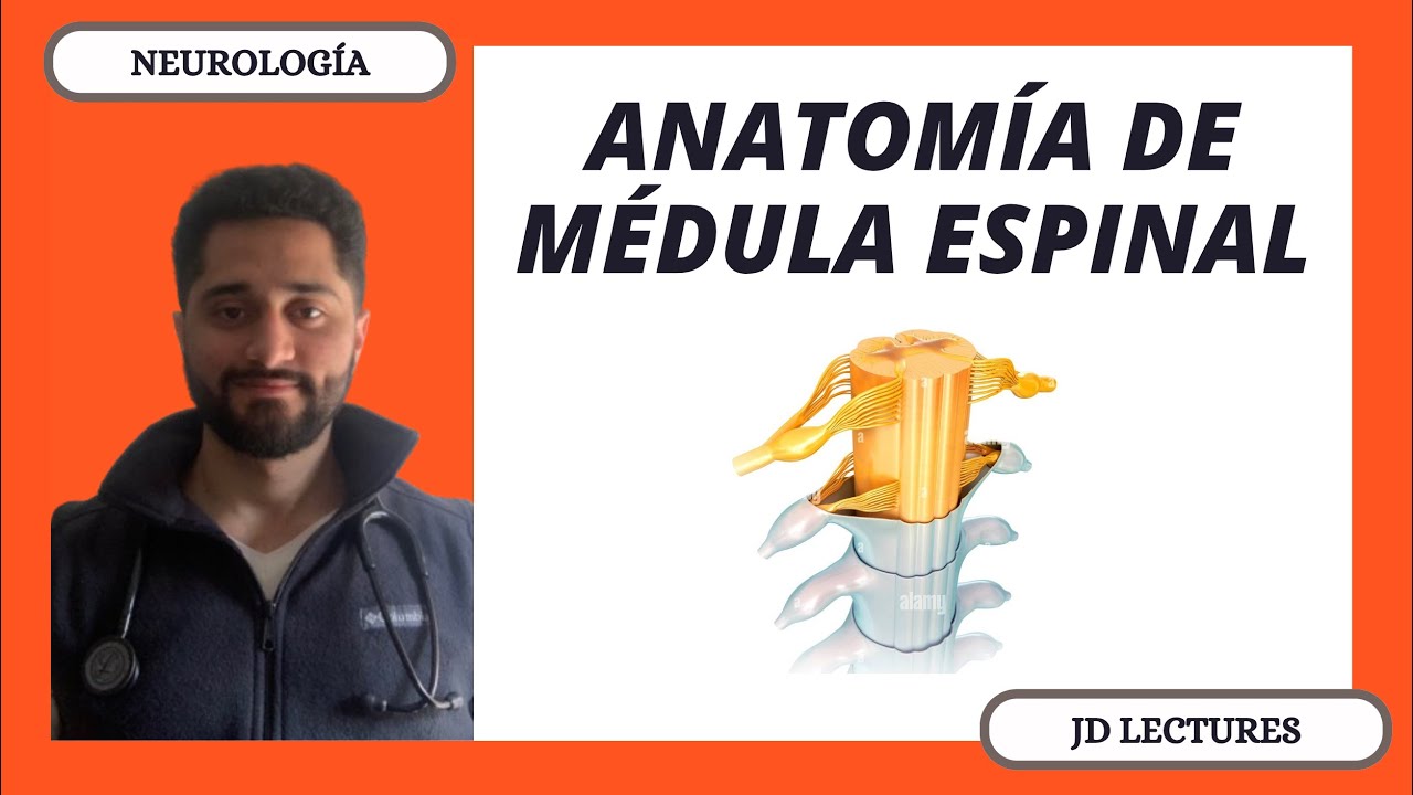 MÉDULA ESPINAL | ANATOMÍA | NEUROLOGÍA