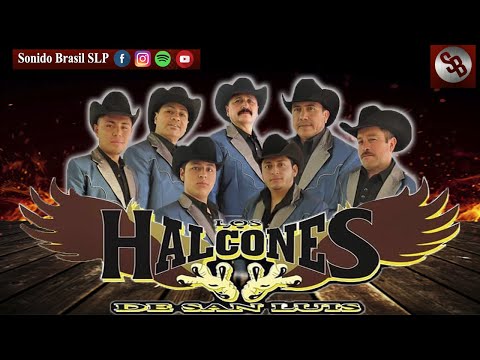 Mix Halcones De San Luis🎶 - Los Mejores Exitos [Sonido Brasil]🎶🎧