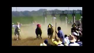 El Martillo Vs El Aguila Real Vs El Chupon Vs La Hechisera