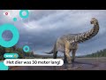 Enorme dinosaurus blijkt nieuwe soort