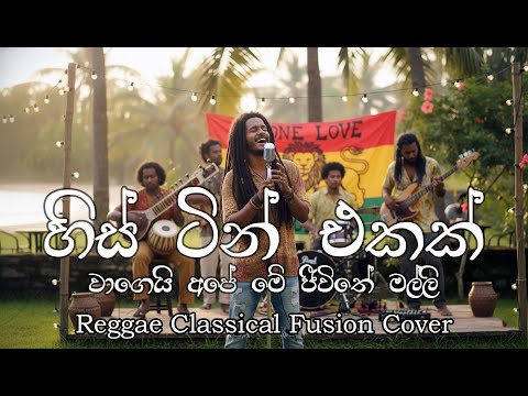 සුදු අම්මියා - Sudu Ammiyaa (Sihini Andrea) and Reggae Malli