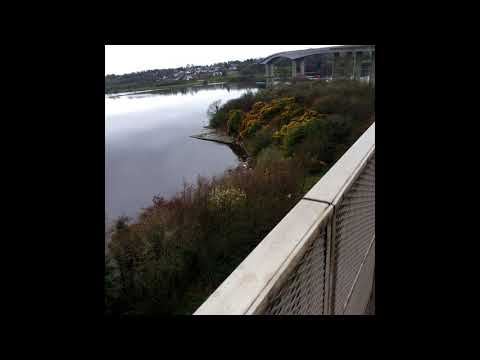 [FREE] ambient midwest emo x nothing, nowhere x skele x jay vee type beat - remember me