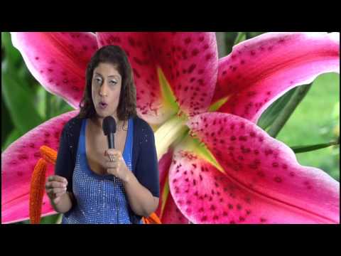 North Node in Libra or 7th House Astrology Series by Nadiya Shah