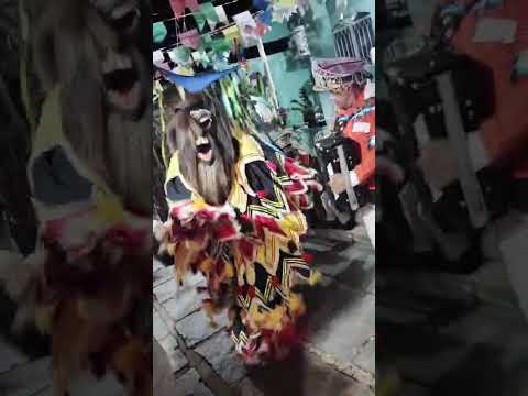 Folia de Reis estrela Dalva do oriente de São Fidélis #cultura#foliadereis #saofidelisrj