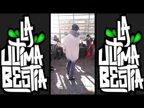 Champion free primera fecha - rso vs white