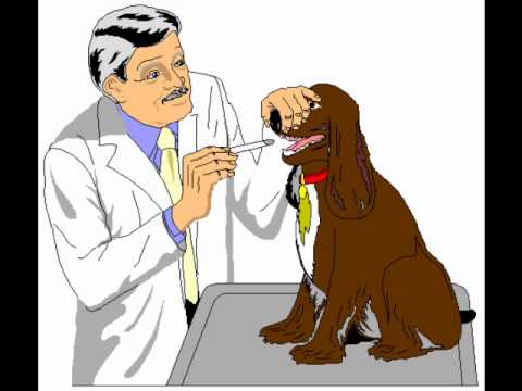 Train vs. Michael Jackson - They  don´t care about us (by Dj Tierarzt)