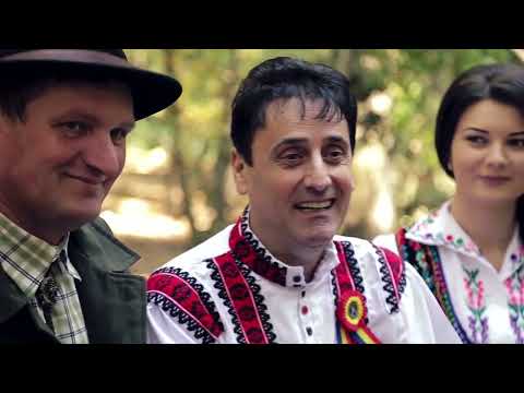 AUREL ȚURCAȘ VLAICU  -  Pădurare clop cu pană