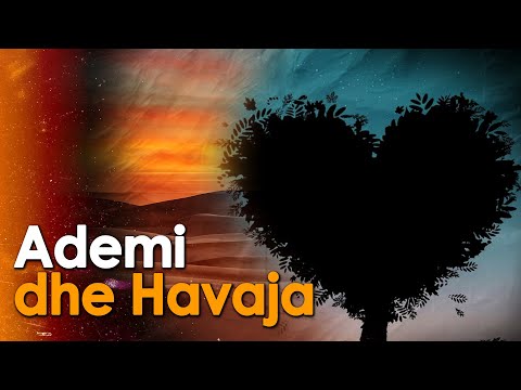 Ademi dhe Havaja - Historia e njerezve te pare. Si u zbriten ne toke? Si ndodhi vrasja e pare?