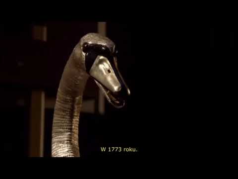 Piękny łabędź wykonany w 1773-J773 roku jest  jednym z najbardziej niesamowitych automatów