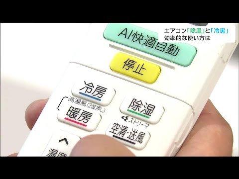 バスルームの蘭 蝶 品種の花 晩冬 早春