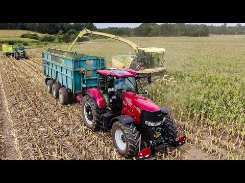 Maishäckseln 2019 Krone Big X 580 4 Fahrzeuge Bauer Maisernte