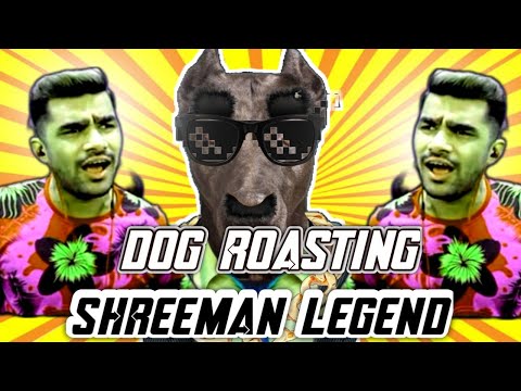 Dog roasting @shreemanlegendliveofficial 😂 |roasting the mango boy| feat @rudehunters158 | silent roast