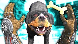 FIGHTING DEMONS and FEEDING ANIMALS! I Love This Dog - Shadow Legend VR Gameplay