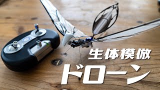 支援総額が600万円を超えました！