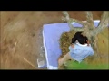 Best Hindi Movie Mallika Sherawat And Himanshu Mailk Scene Khwahish Movie Scene