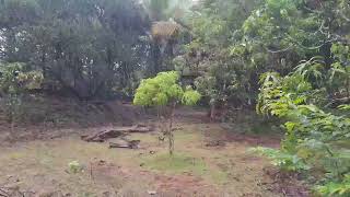  Agricultural Land for Sale in Vengurla, Sindhudurg