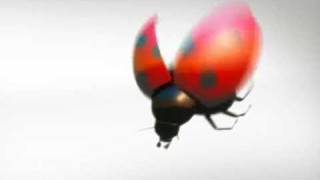 Creative Bug.wmv