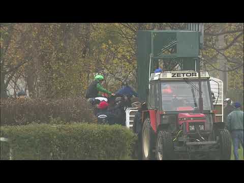 Galopprennbahn Dresden - 20.11.2019 - 5.Rennen