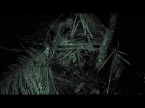 Erin Naked And Afraid